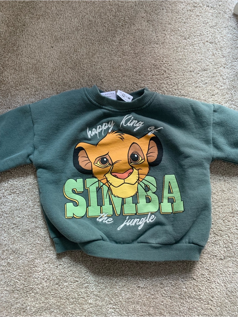 Zara Lion King Simba Green Kids Sweatshirt